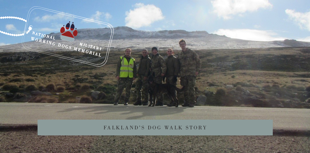 Falkland’s dog walk story