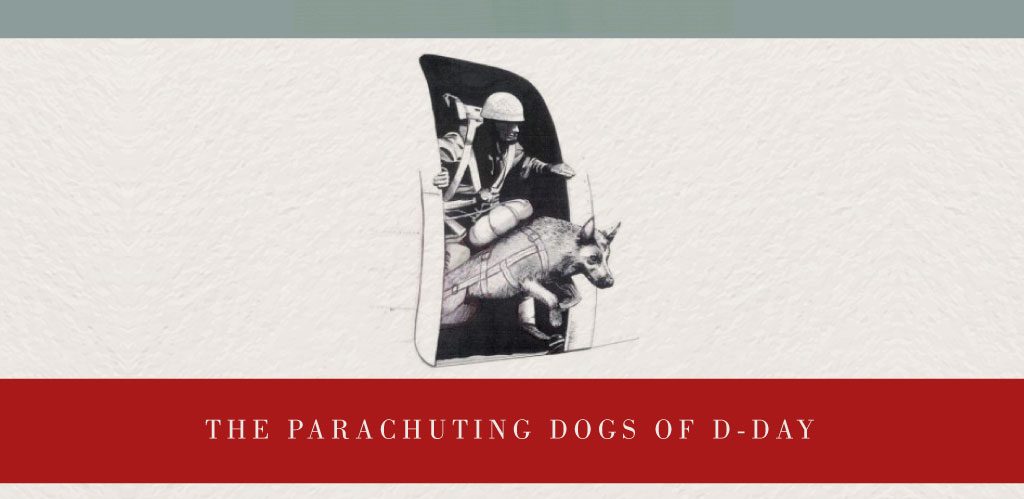 parachuting dogs of D-Day