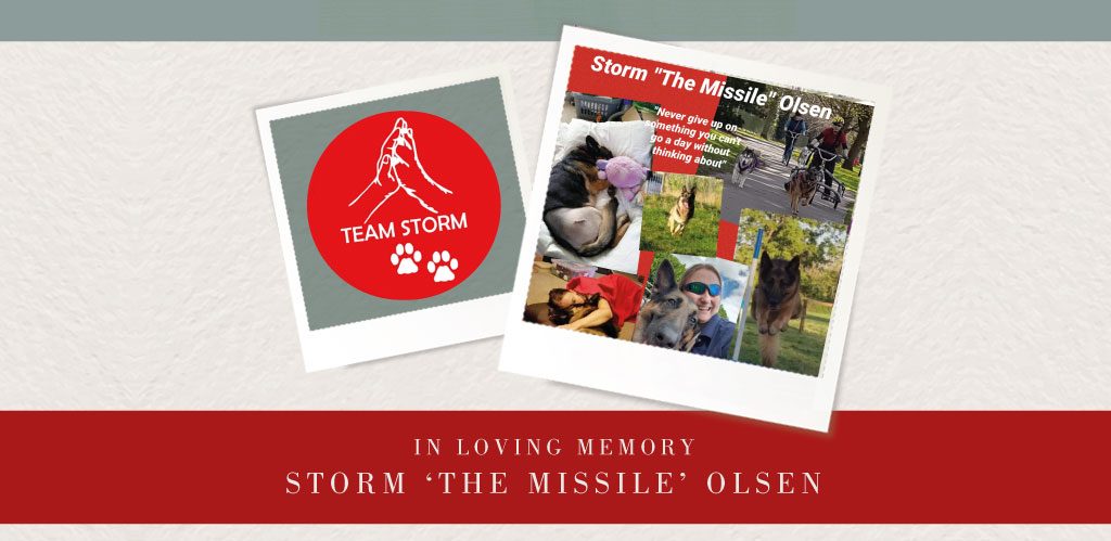 Donating in memory